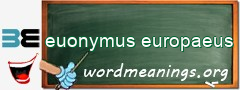 WordMeaning blackboard for euonymus europaeus